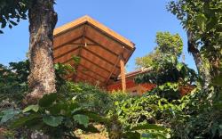 Coorg hill view stay