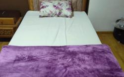 Star House in the Grand Egyptian Museum