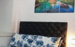 El Aris Lushly Inn