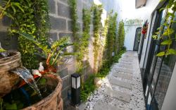 Trăng Non Homestay