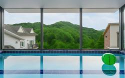 Gapyeong Star Forest Private Pool Villa