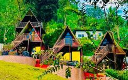 THE HIDDEN COTTAGE 