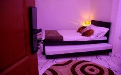 Phoenix Bliss (Amber)