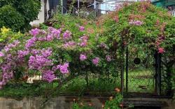 Bentong Hill Cottage