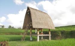 Batan Nyuh Retreat