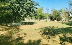 The Heaven - Farm & Resort