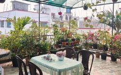 Tulip Guest house (Rooftop) Near Kamakhya