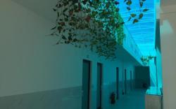 Hotel Mai Tuan Chanh Mon A