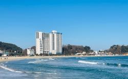 Ocean Stay E7 In The City