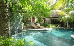 Tarzan Marriott On Penida 