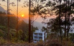 Misty Cabin Valley View