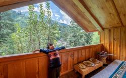 Orchard house jibhi