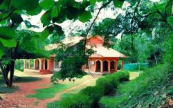 Forest Fusion:LOSE YOURSELF IN NATURE'S LUXURY