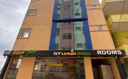 Ivy Lemon Green