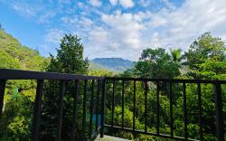 Luna Munnar