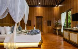 The Alus Cottage and Villa