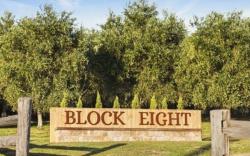 Block Eight Estate Tree Tops Villa