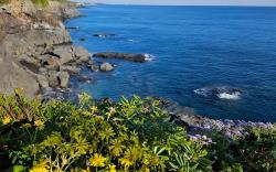 Seogwipo Tre Pension