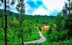 Palm Resort