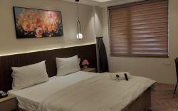 Studios near Metro-Greater Noida