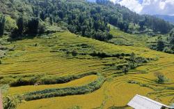 Homestay Nui Da Ta Phin