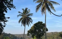 Wild4rest Homestay and huts 