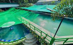 Pet-Friendly Family Room at D'LagoonMountainResort
