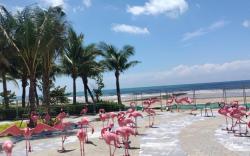 Longs Beach House - Wonderland Hồ Tràm
