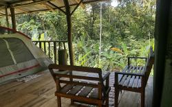 Rio Agujitas Eco Farm hostel and Tours