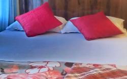 Urban cabin homestay 