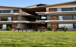 The Stone Age : A Boutique  Hotel
