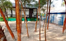 Kamala Homestay, Mandarmoni