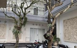 Adijaya homestay