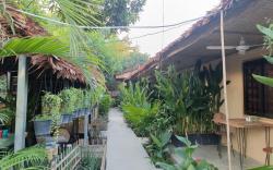 Siem Reap Homesteading -Couple Aspiration 
