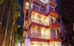 EKJAP PARADISE PALMS