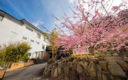 Inatori Akao Hotel
