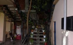 Sauraha Inn