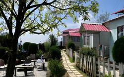 Viewtoria resorts