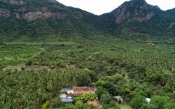 Pannadikadu Homestay 