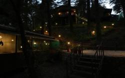 Treetop Glamps