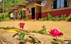 11 Gaon Mudhouse Homestay