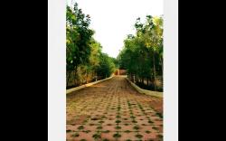 ONBTBB 8BHK VILLA ALIBAUG