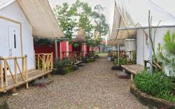 D'Royale Tapos Bogor