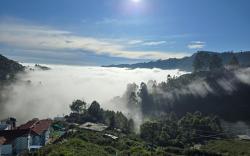Kodai Hillscape