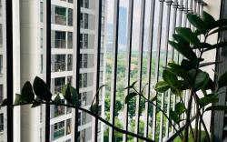 Nhung’s Vin Homestay 