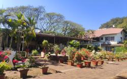 Green hills resort