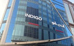 indigo apartments