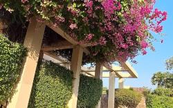 Aranyam Golf Villa, 30 min from Gurgaon