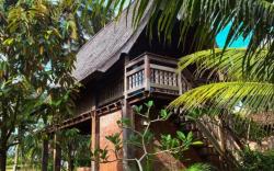 Nunu Bali Eco Friendly Retreat