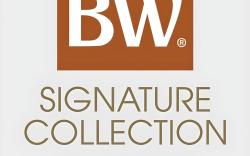 The Nedia, BW Signature Collection